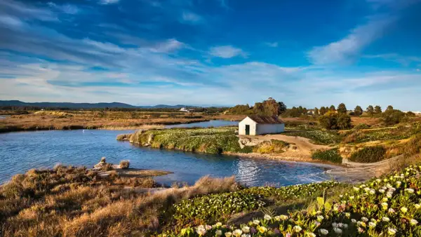 Ein kleines weißes Haus am Wasser im Ria Formosa Nationalpark, umgeben von üppiger Vegetation und blühenden Pflanzen.